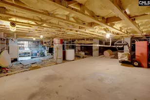 180 Palm St, Chapin, SC 29036 - Photo 49