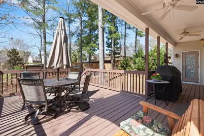 157 Blue Wing Drive, Gilbert, SC 29054 - Photo 47