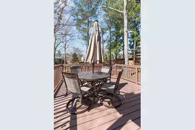 157 Blue Wing Drive, Gilbert, SC 29054 - Photo 51