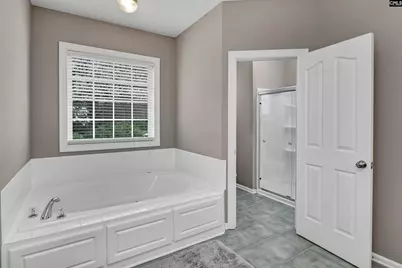 306 Beaumont Park Circle, Blythewood, SC 29016 - Photo 29