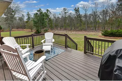 306 Beaumont Park Circle, Blythewood, SC 29016 - Photo 41