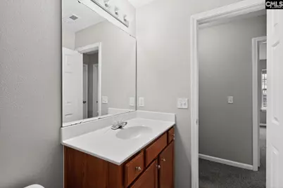 224 Drooping Leaf Lane, Lexington, SC 29072 - Photo 19