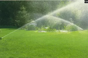 904 Fire Island Rd, Blythewood, SC 29016 - Photo 5