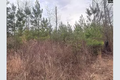 Qbf 12 Nurnberg Drive Qbf 12, Batesburg, SC 29070 - Photo 9