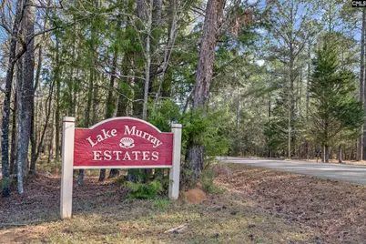 120 Little Saluda Lane, Batesburg, SC 29006 - Photo 63