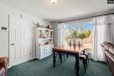 35 Ben Dex Lane, Cassatt, SC 29032 - Photo 9