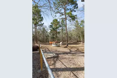3562 Calks Ferry Rd, Pelion, SC 29123 - Photo 51