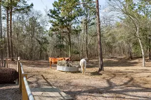 3562 Calks Ferry Rd, Pelion, SC 29123 - Photo 51