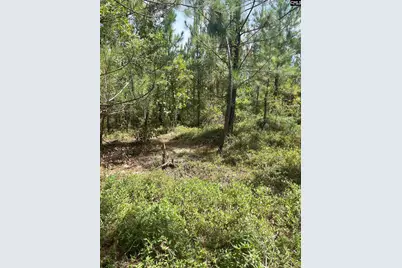 Ppf 14 Payne Pond Road Ppf 14, Westville, SC 29175 - Photo 9