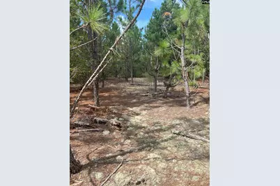 Ppf 14 Payne Pond Road Ppf 14, Westville, SC 29175 - Photo 5