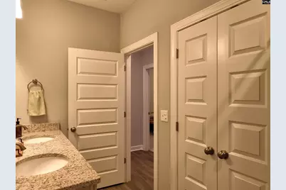 53 Starry Night Court, Chapin, SC 29036 - Photo 31