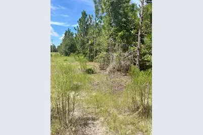 Ppf 17 Payne Pond Road Ppf 17, Westville, SC 29175 - Photo 1