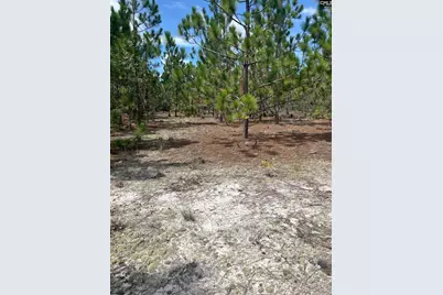 Ppf 17 Payne Pond Road Ppf 17, Westville, SC 29175 - Photo 9