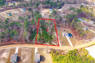 1604 Green Branch Cir, Lugoff, SC 29078 - Photo 53