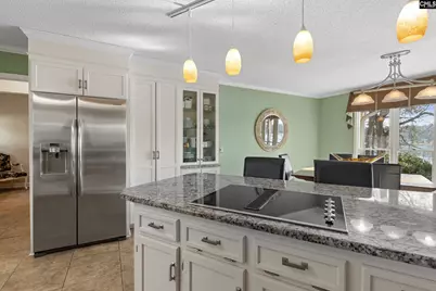 115 Rocky Ridge Road, Leesville, SC 29070 - Photo 13