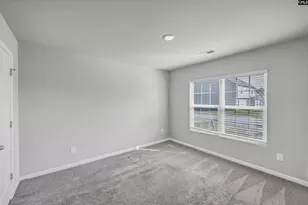 713 Sapodilla Ln, Gilbert, SC 29054 - Photo 15