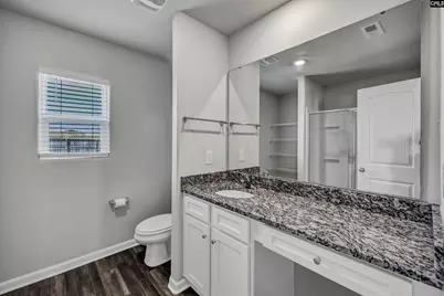 713 Sapodilla Lane, Gilbert, SC 29054 - Photo 11