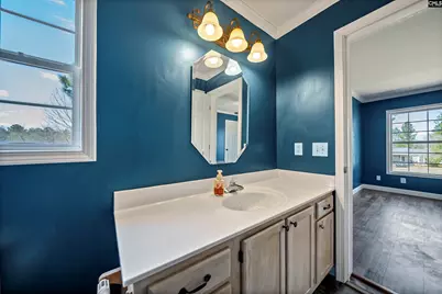 233 Drawdebil Court, Gilbert, SC 29054 - Photo 25