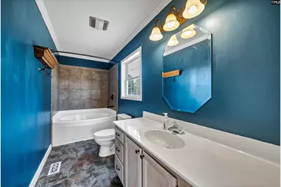 233 Drawdebil Court, Gilbert, SC 29054 - Photo 23