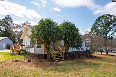 233 Drawdebil Court, Gilbert, SC 29054 - Photo 3