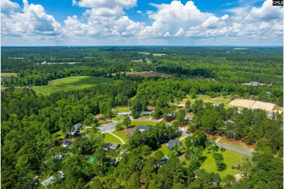 233 Drawdebil Court, Gilbert, SC 29054 - Photo 39