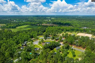 233 Drawdebil Ct, Gilbert, SC 29054 - Photo 39