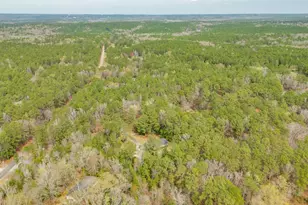 335 Howell Rd, Blythewood, SC 29016 - Photo 47