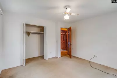 335 Howell Road, Blythewood, SC 29016 - Photo 29