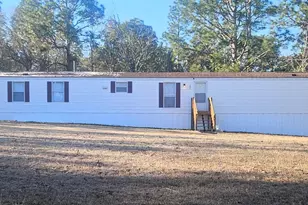 205 Ann St, Pelion, SC 29123 - Photo 1