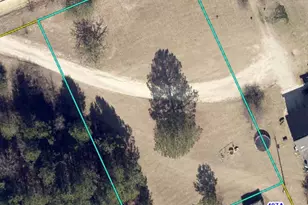 561 Fredonia Rd, Leesville, SC 29070 - Photo 1