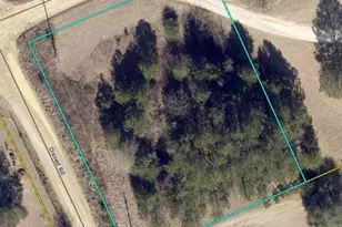 565 Fredonia Rd, Leesville, SC 29070 - Photo 1