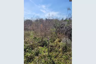 E/S Tremont Avenue #12 &amp; 13, Columbia, SC 29203 - Photo 7