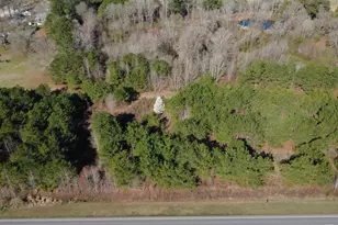 330 Hwy 151, Jefferson, SC 29718 - Photo 1