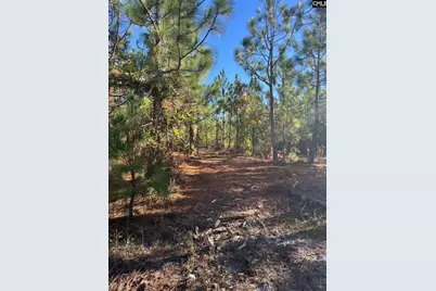 Ppf 18 Payne Pond Road Ppf 18, Westville, SC 29175 - Photo 13