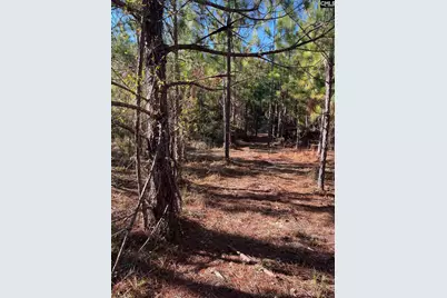 Ppf 18 Payne Pond Road Ppf 18, Westville, SC 29175 - Photo 9