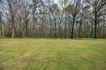 813 Motley Road, Hopkins, SC 29061 - Photo 23