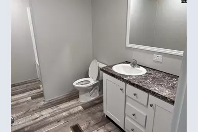 779 Thor Road, Pelion, SC 29123 - Photo 11