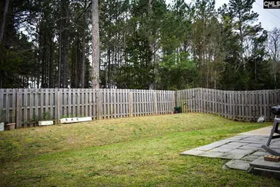 240 Bickley View Court, Chapin, SC 29036 - Photo 19