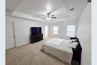 240 Bickley View Court, Chapin, SC 29036 - Photo 9