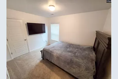 240 Bickley View Court, Chapin, SC 29036 - Photo 13