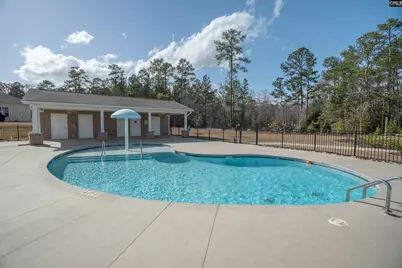 140 Rushton Drive, Chapin, SC 29036 - Photo 39