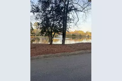 84 Ridge Lake Drive, Columbia, SC 29209 - Photo 23