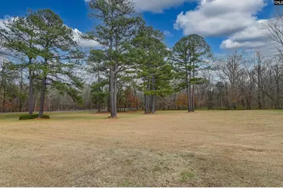 1141 Old Brickyard Road, Irmo, SC 29063 - Photo 75