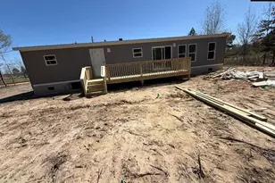 662 Jeff Sharpe Rd, Pelion, SC 29123 - Photo 3