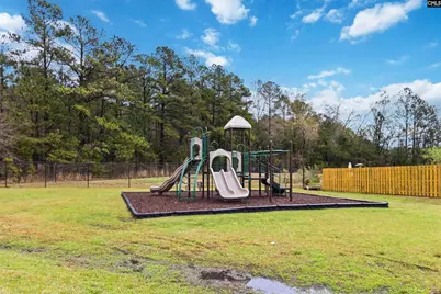 180 Wahoo Circle, Irmo, SC 29063 - Photo 49