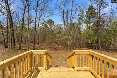 161 Arrowpoint Drive, Gaston, SC 29053 - Photo 27