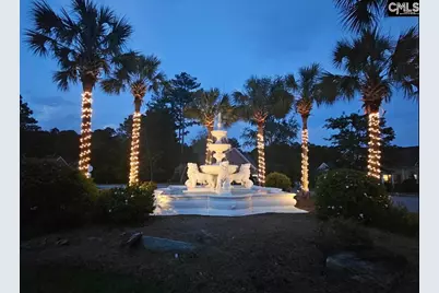 111 Buccaneer Place, Leesville, SC 29070 - Photo 67