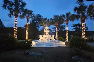 111 Buccaneer Pl, Leesville, SC 29070 - Photo 69