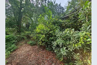 1921 Edgehill Road, Columbia, SC 29204 - Photo 11