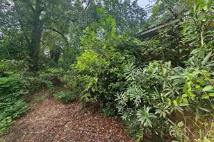 1921 Edgehill Rd, Columbia, SC 29204 - Photo 11